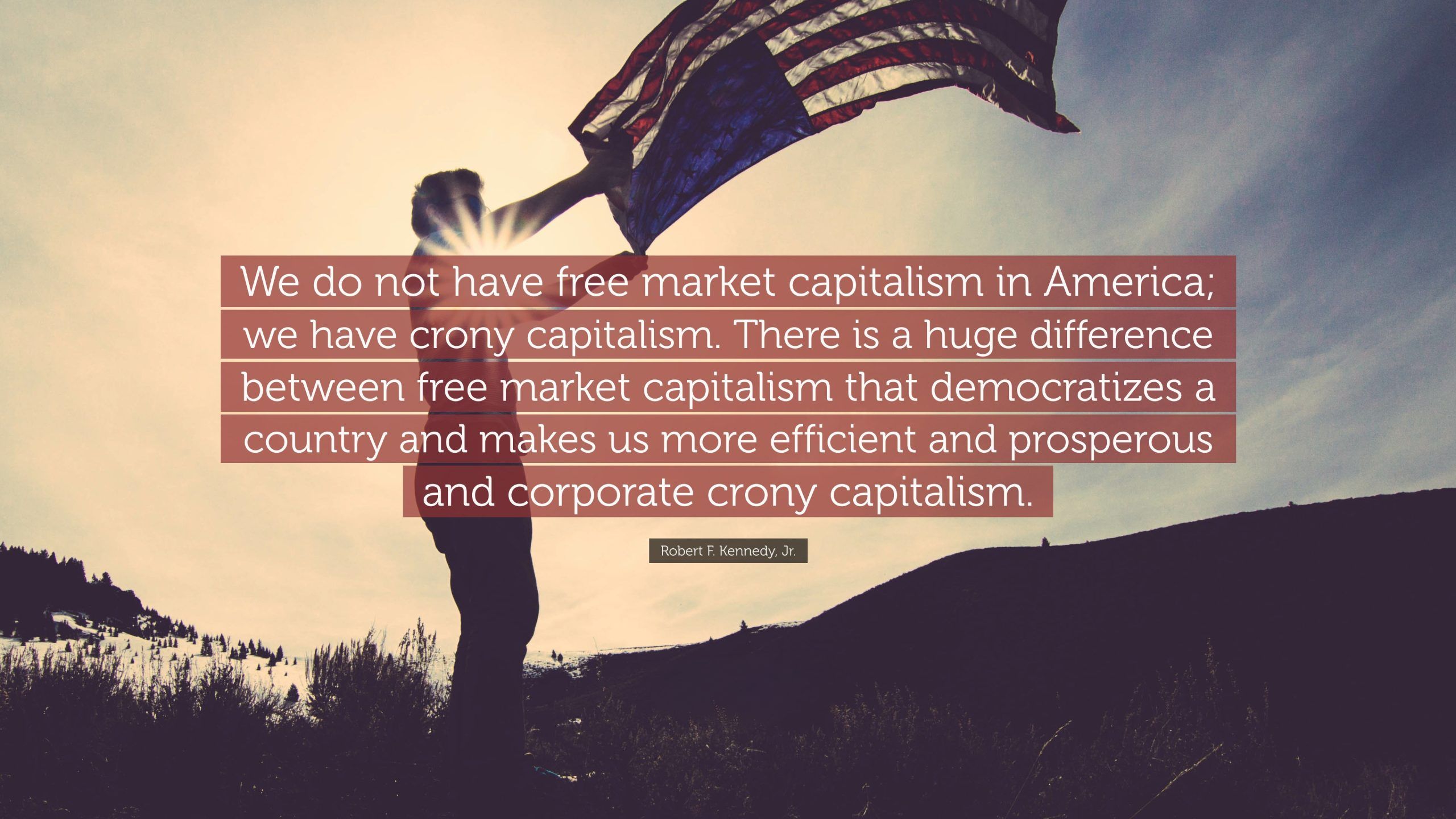 Free Market Capitalism vs. Crony Capitalism: Unveiling the Key Differences 3