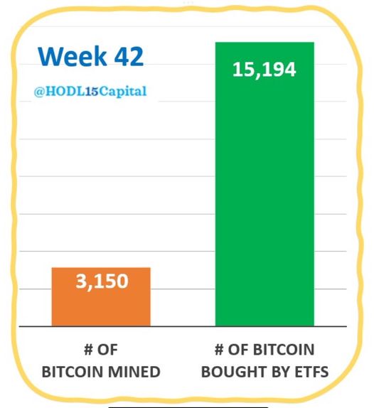 Dynamic Week Ahead – Key U.S. Economic Updates & the Potential Impact of a New President on Memecoins 4