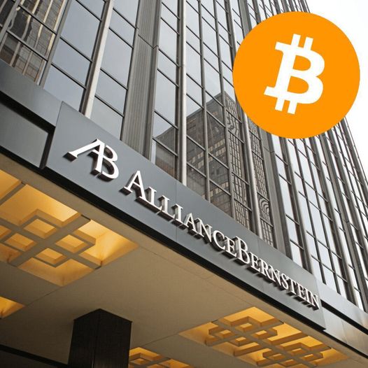 Why Did Ripple Support Kamala Harris? | Tesla Still Holds BTC 5