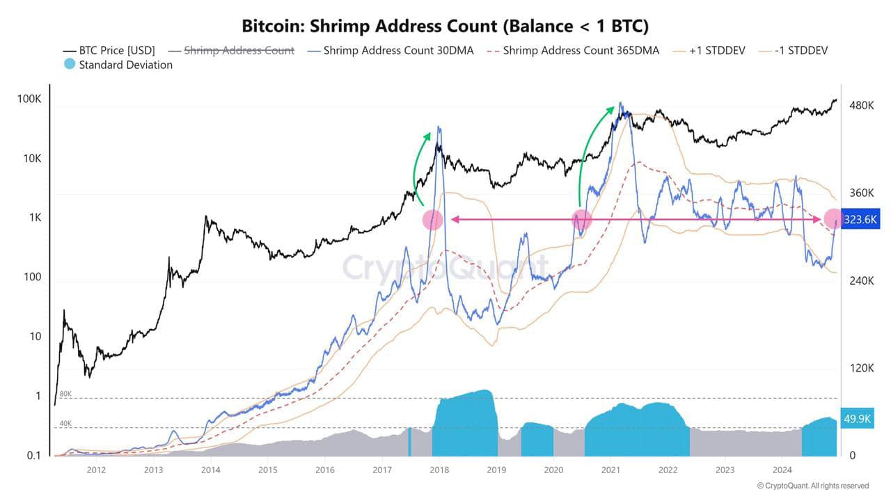 Bitcoin Hits $107K ATH, XRP Surges, FTX to Repay $16 Billion 7