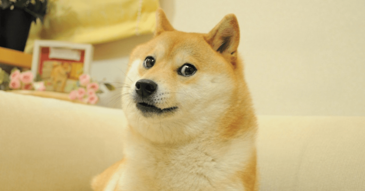 What is Dogecoin? How a joke cryptocurrency became a $25B phenomenon. 2