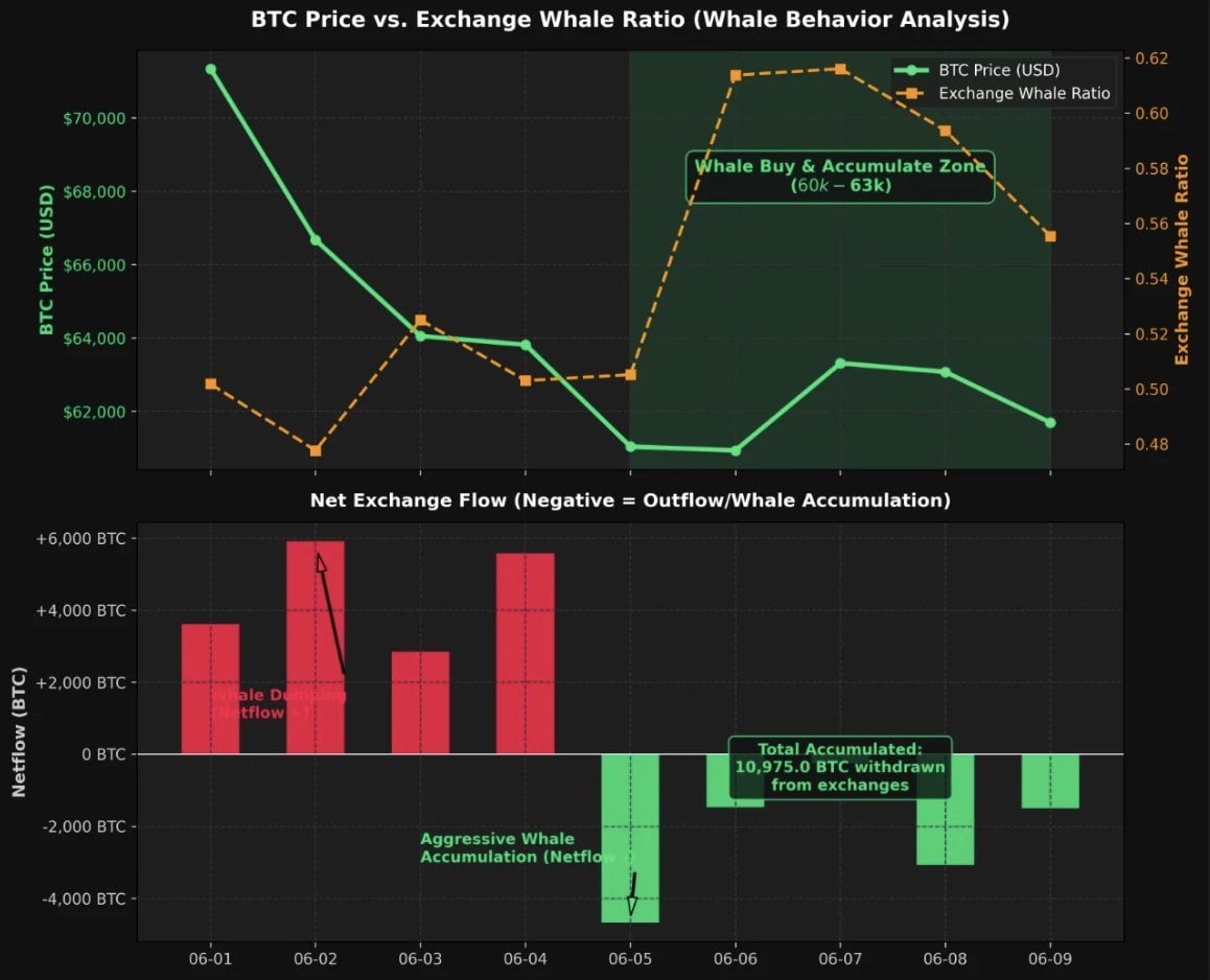 Cryptoquant: Whales 'Quietly Bought' the $60K Bitcoin Dip as Whale Ratio Hits 61.6% 2