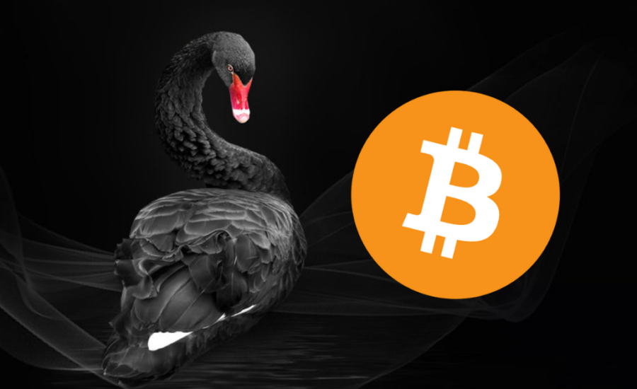 6703fb464dc3e08180cc51db_6703fb2f503b242fa50361c1_crypto-black-swan-2025