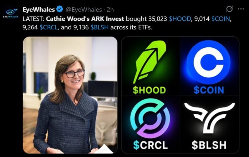 Cathie Wood's ARK Invest buys the dip on Coinbase, Circle, Bullish, and Robinhood as crypto stocks slide. 2